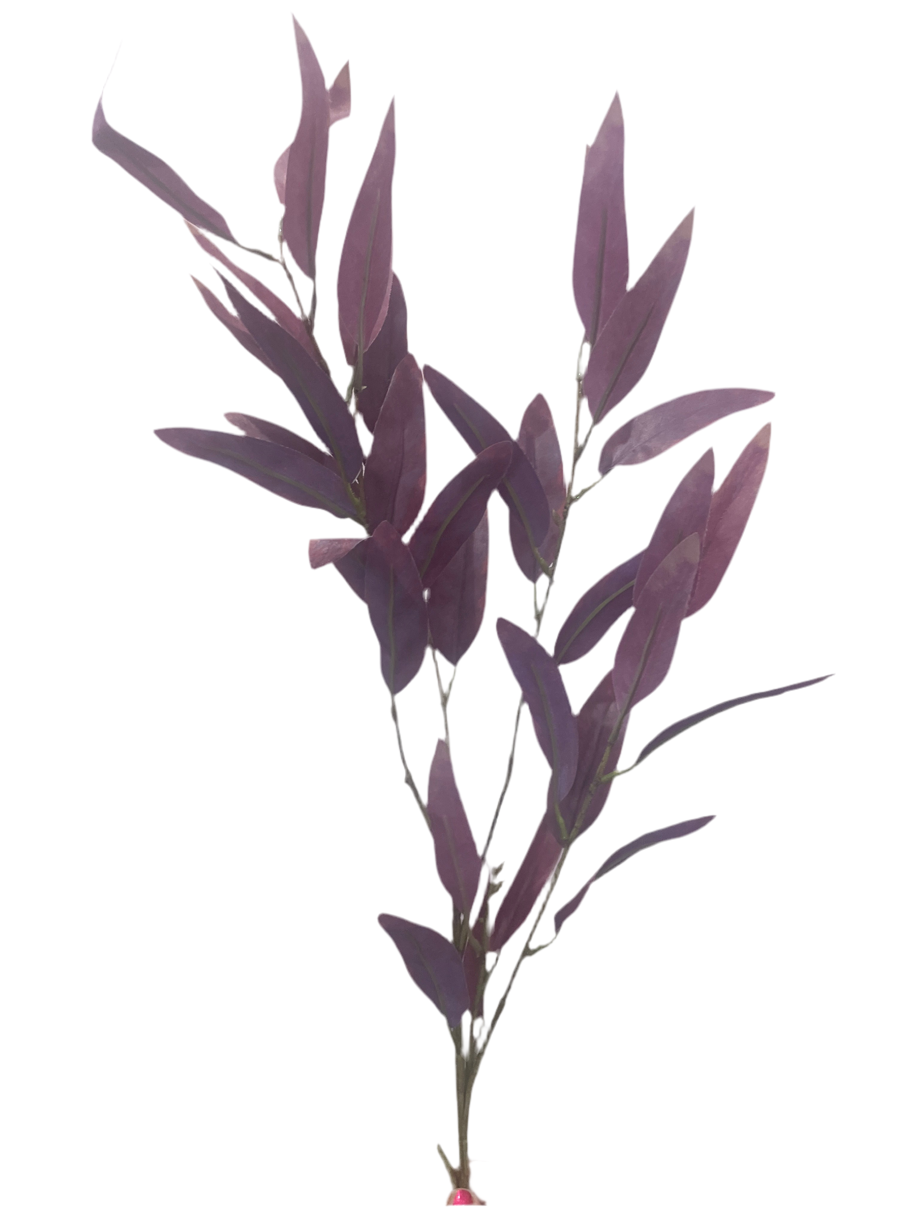 Long Stemmed Plum Leaf Spray