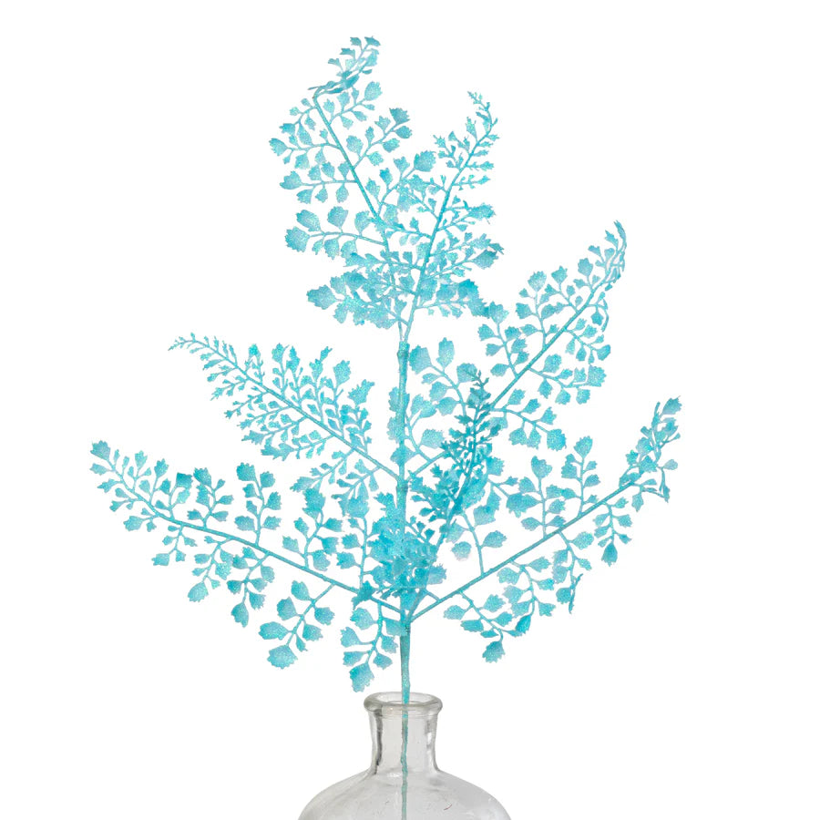 Blue Maidenhair Fern