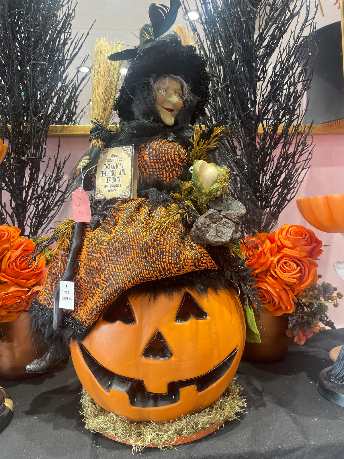 Witch with light up face in pumpkin