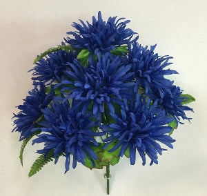9" Blue Spider Mum