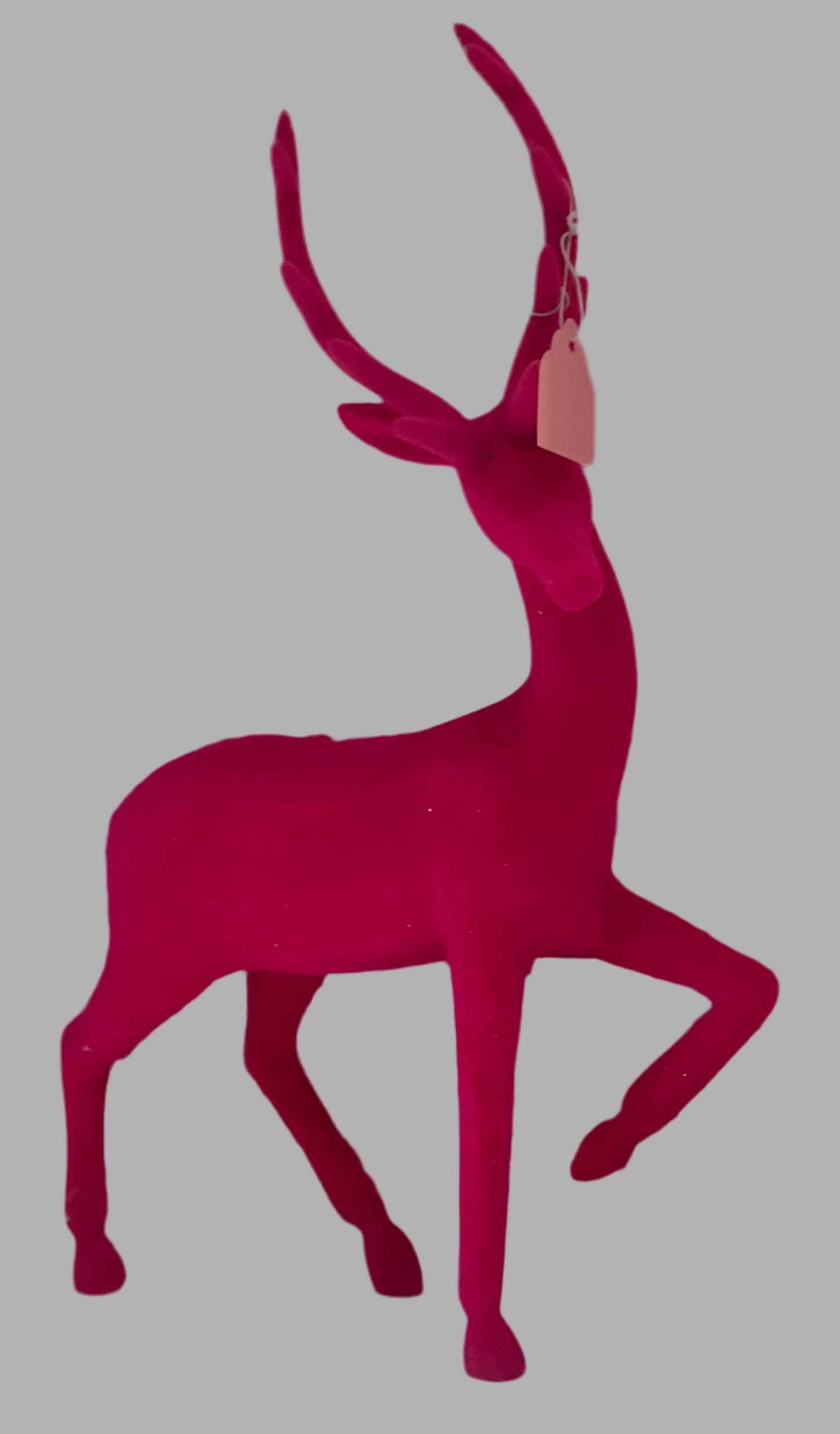 Hot Pink Deer