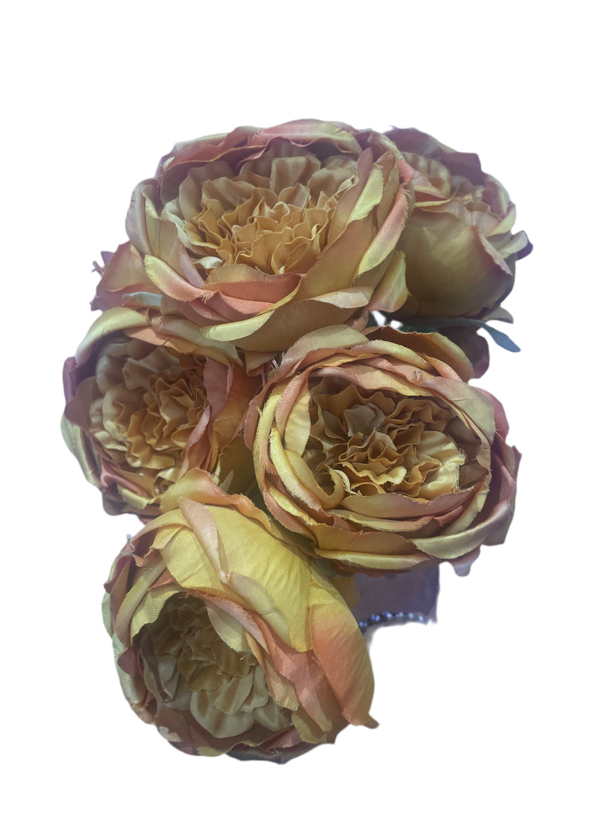 Fall Rose