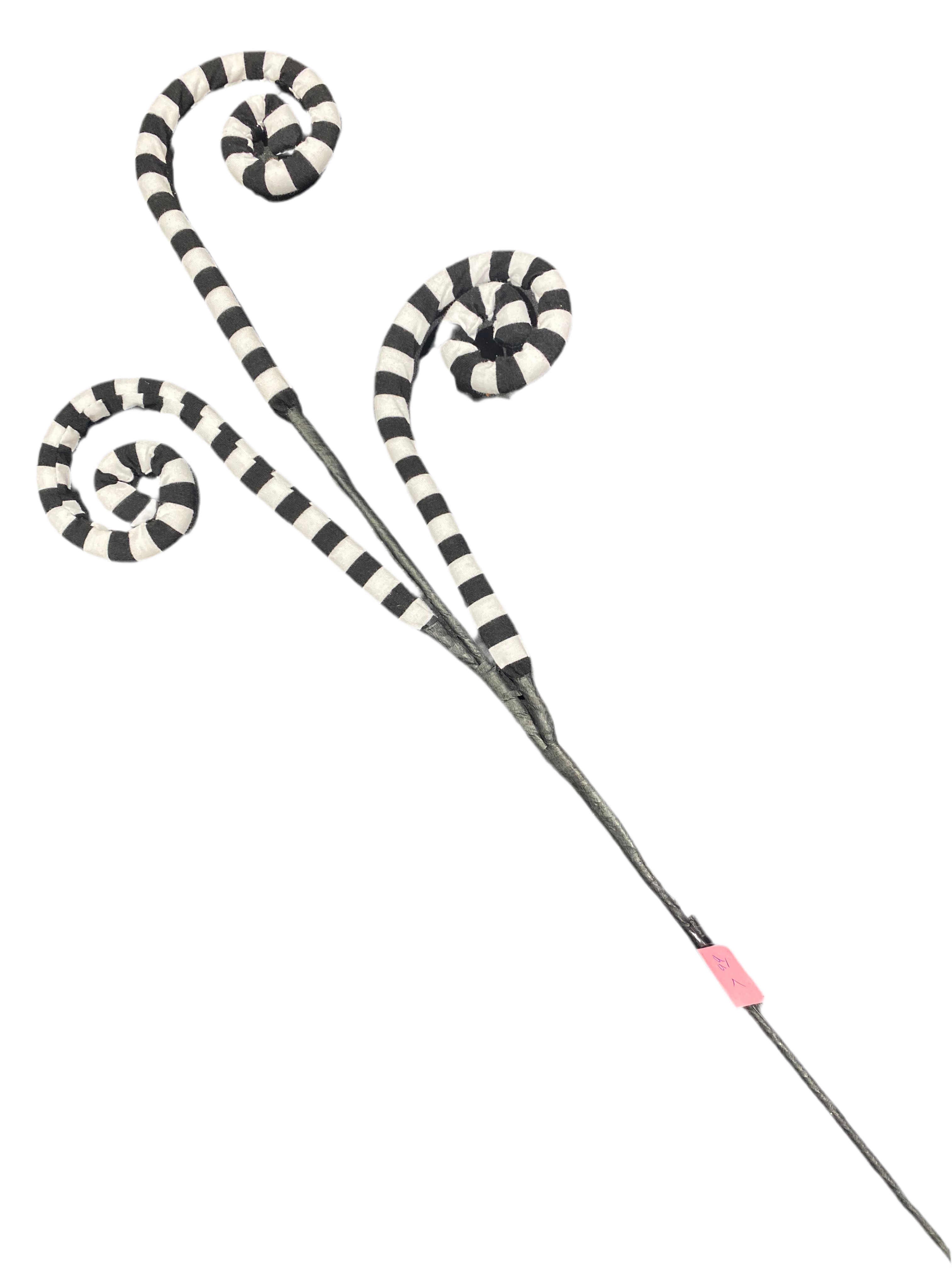 Black and white striped curly spray