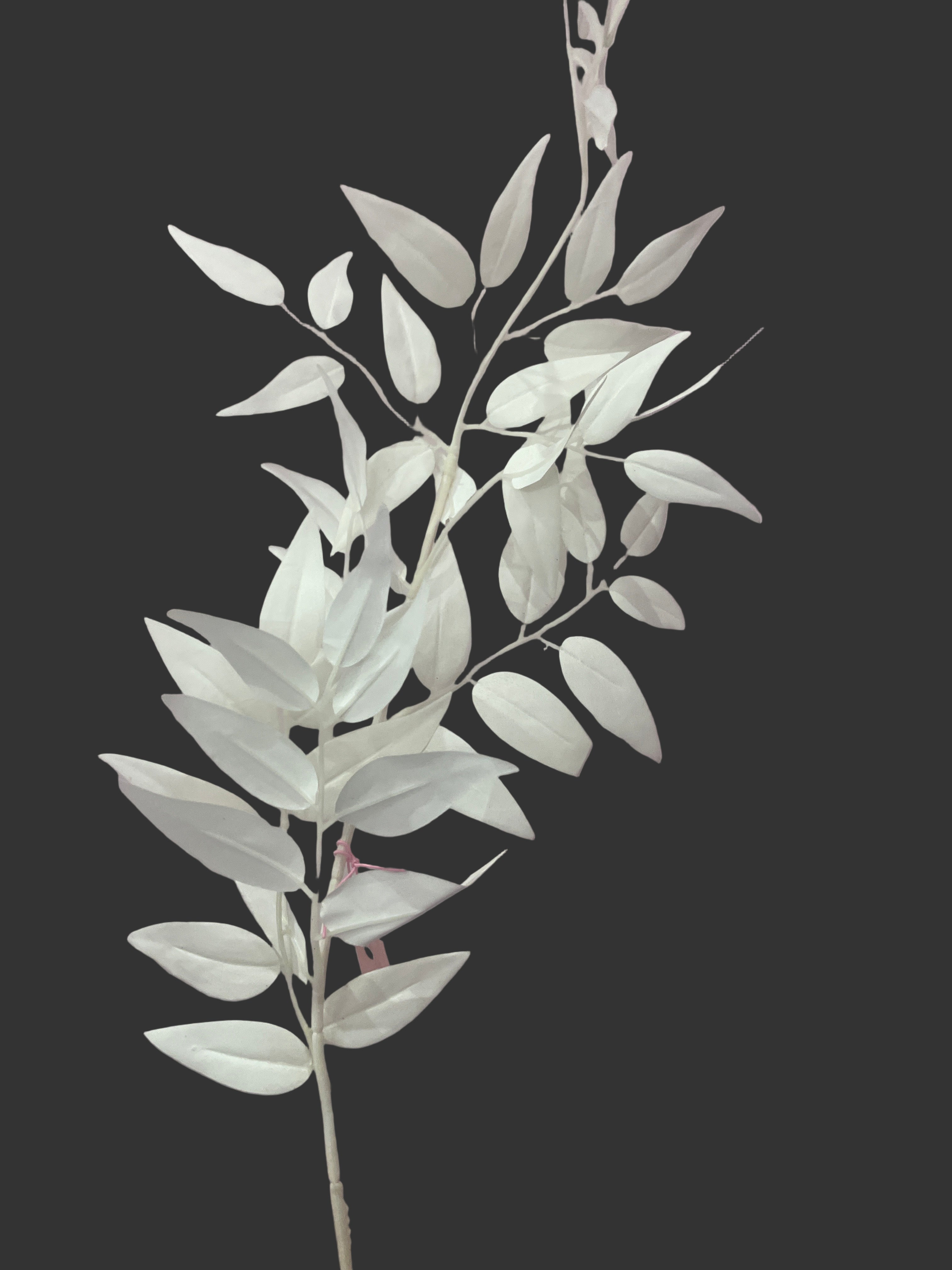 Long white leaf Spray