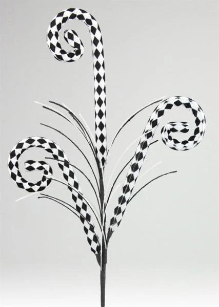 31” Harlequin curly spray with fishlines.