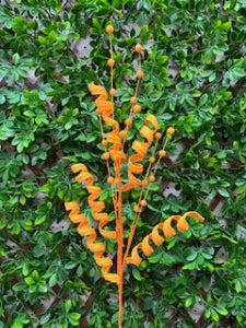 Orange Long Curly Ball Spray